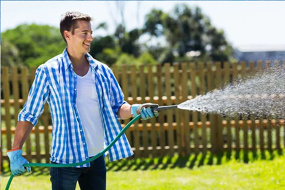 Tree Watering Tips from a Utah Arborist