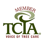 TCIA-Logo