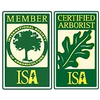member-ISA