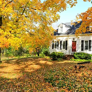 How Rivendell’s Local Tree Services Enhance Utah Landscapes - Rivendell ...