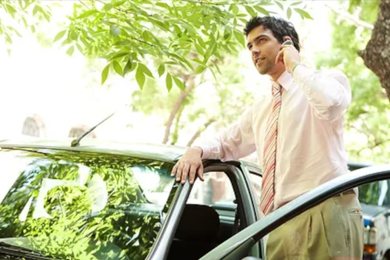 4 Signs It's Time to Call an Arborist