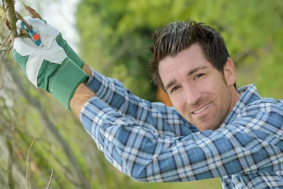 Hiring a Professional Arborist Utah