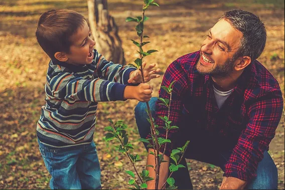 planting a new tree utah