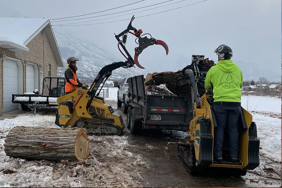 provo-utah-tree-trimming